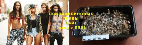 ГАЛЛЮЦИНОГЕННЫЕ ГРИБЫ Алексеевка