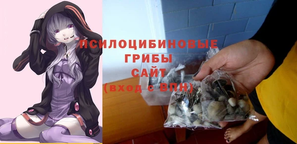 прущие грибы Алзамай