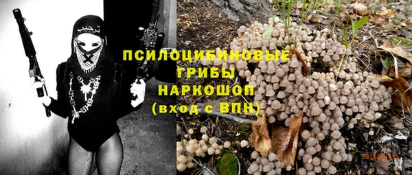 гашик Осинники