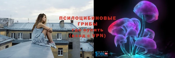 спайс Алексин