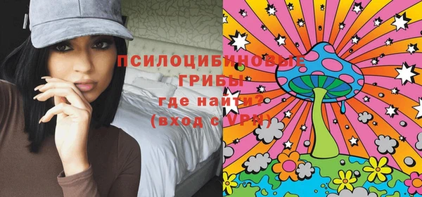 ГАЛЛЮЦИНОГЕННЫЕ ГРИБЫ Алексеевка