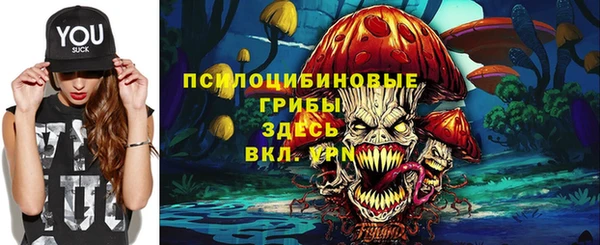 ГАЛЛЮЦИНОГЕННЫЕ ГРИБЫ Алексеевка