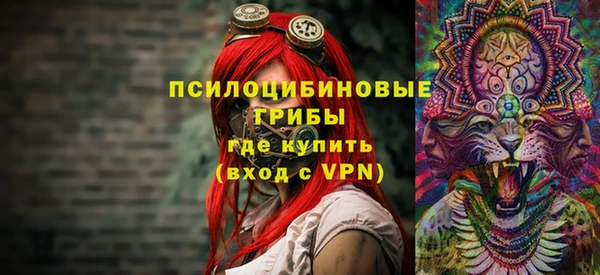 прущие грибы Алзамай