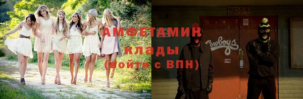 прущие грибы Алзамай